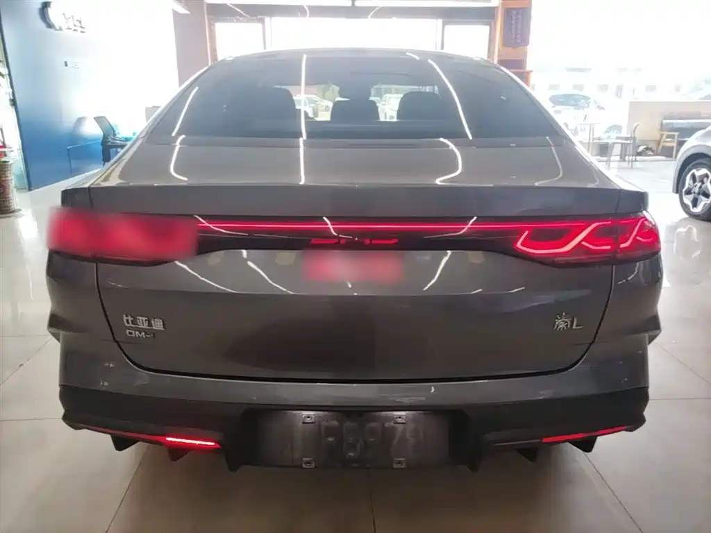 Qin L DM-i 80 KM Transcend