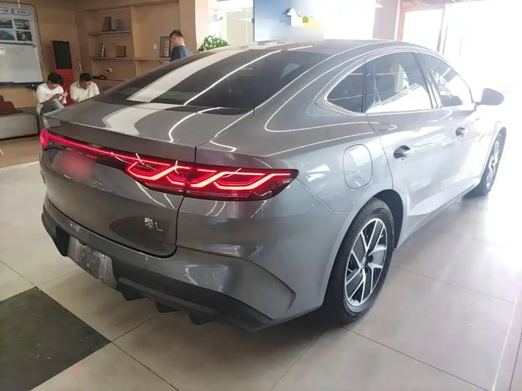 Qin L DM-i 80 KM Transcend