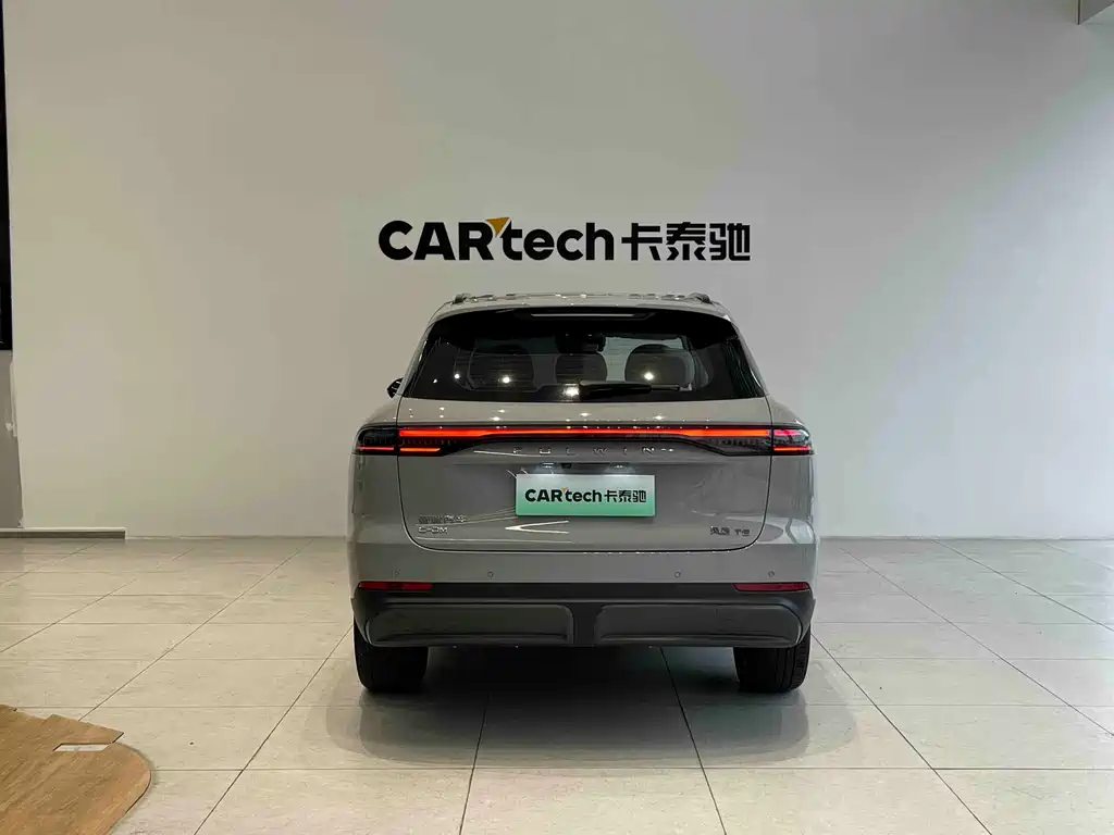 Fengyun T9 120 Long Range Flagship 7-seat LFP