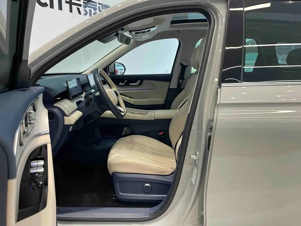 Fengyun T9 120 Long Range Flagship 7-seat LFP