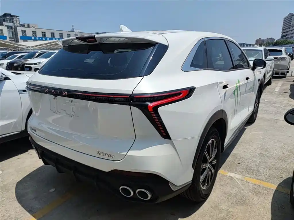 Cowin Kunlun 凯翼昆仑 2024款 1.6 T 高原版 5座