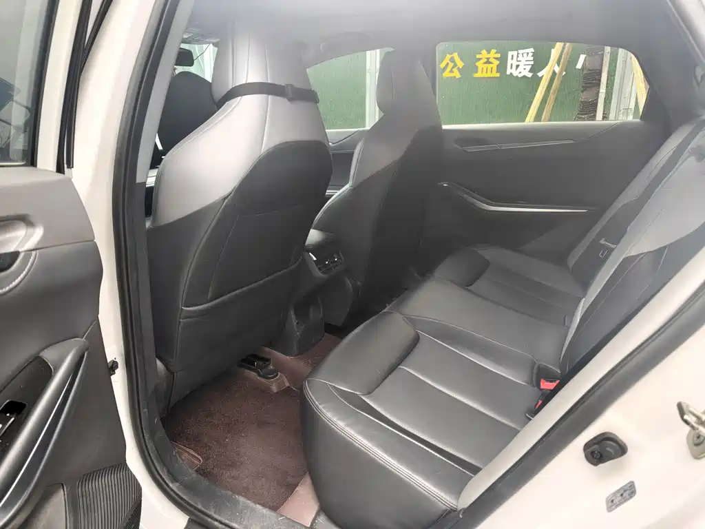 Ruicheng PLUS 1.5 T DCT Distinguished