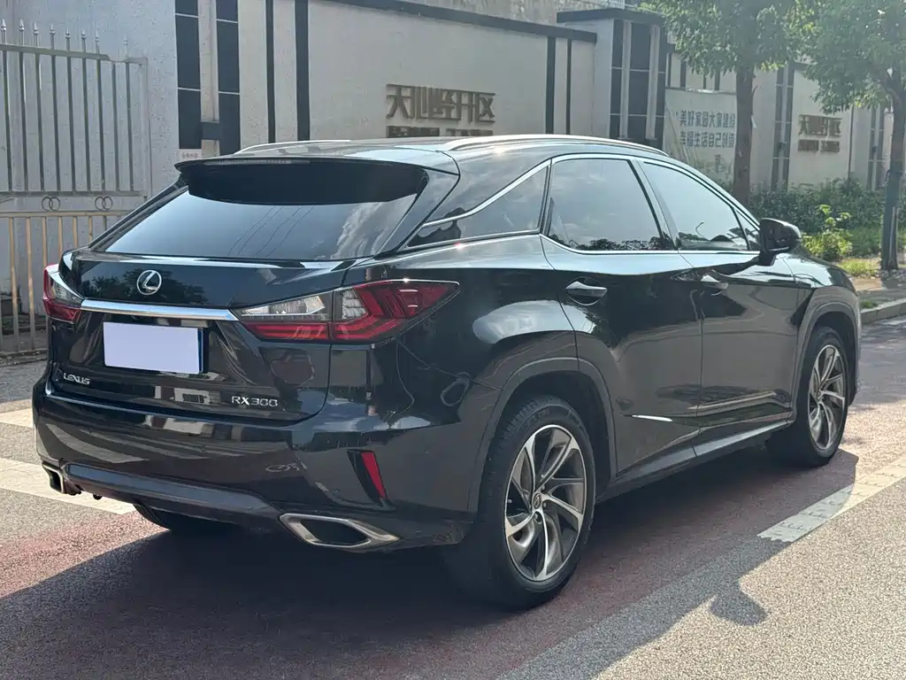 Lexus RX 300 4 WD Elegant CN-V