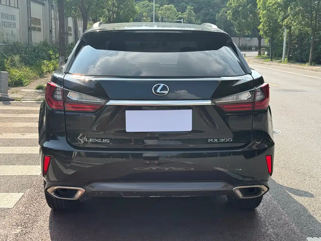 Lexus RX 300 4 WD Elegant CN-V