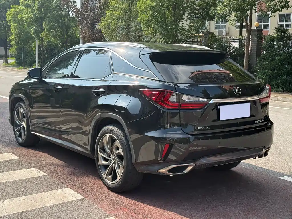 Lexus RX 300 4 WD Elegant CN-V