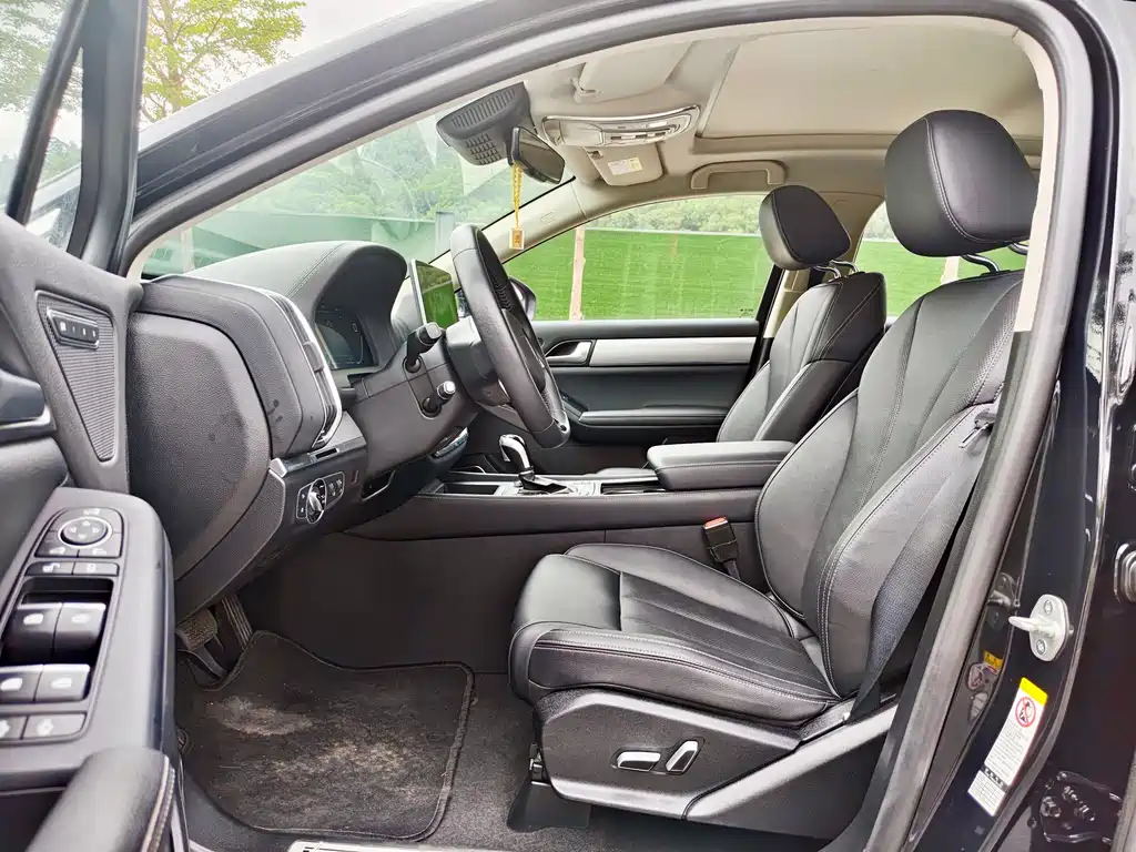 Tang 2.0 T Auto Connected Honored 7-seat CN-VI