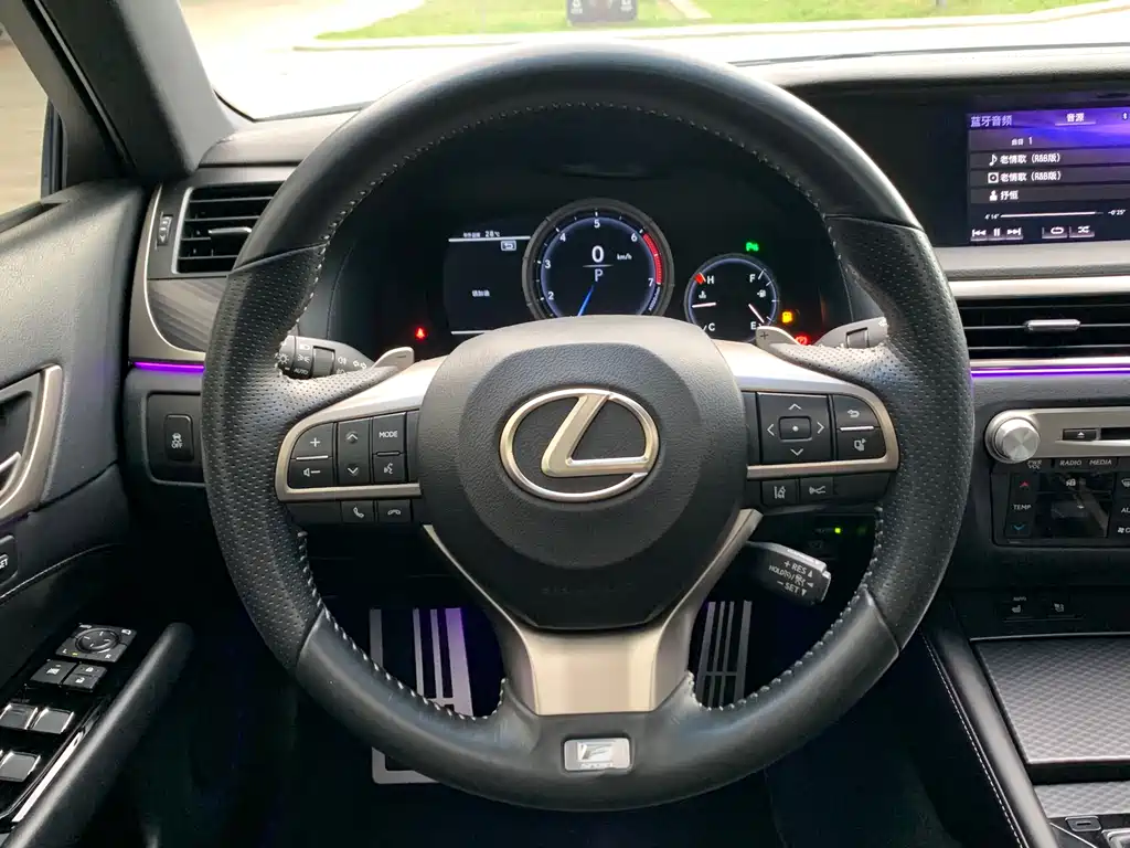 Lexus GS 300 F SPORT