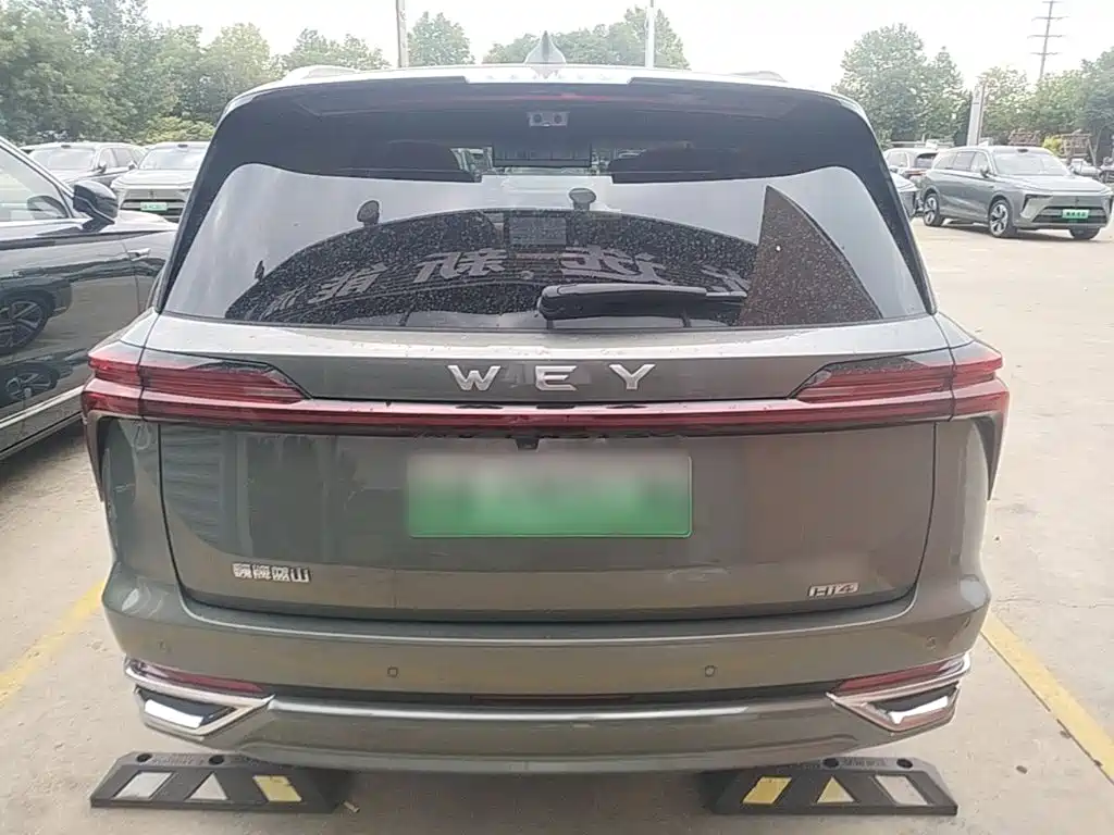 WEY Blue Mountain 4 WD Max