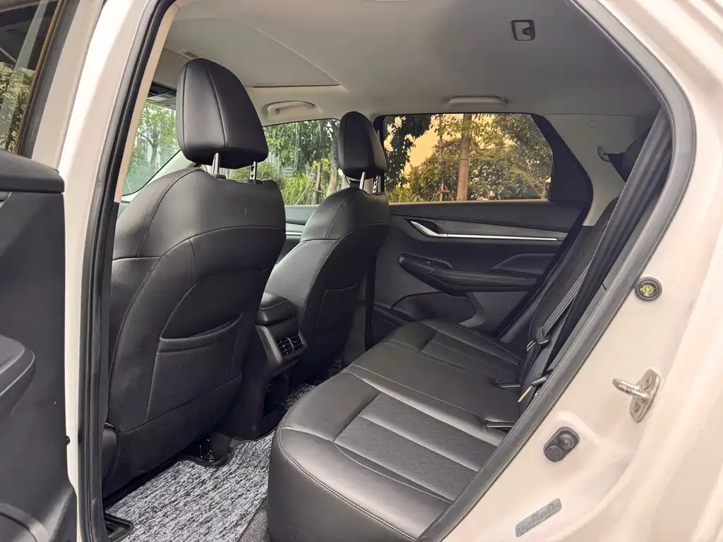 Changan CS55 PLUS Blue Whale 1.5 T DCT Distinguished