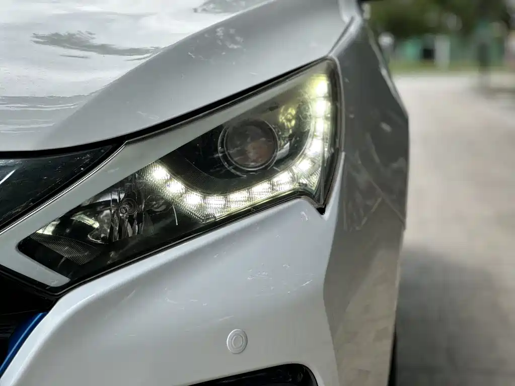 Qin NEV 1.5 T Dual Crown Flagship