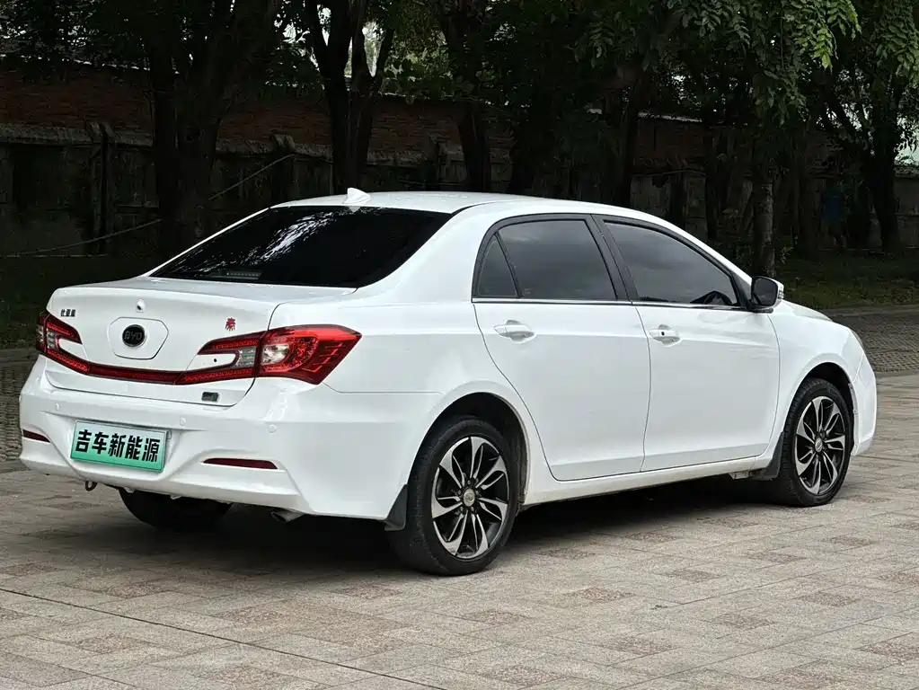 Qin NEV 1.5 T Dual Crown Flagship