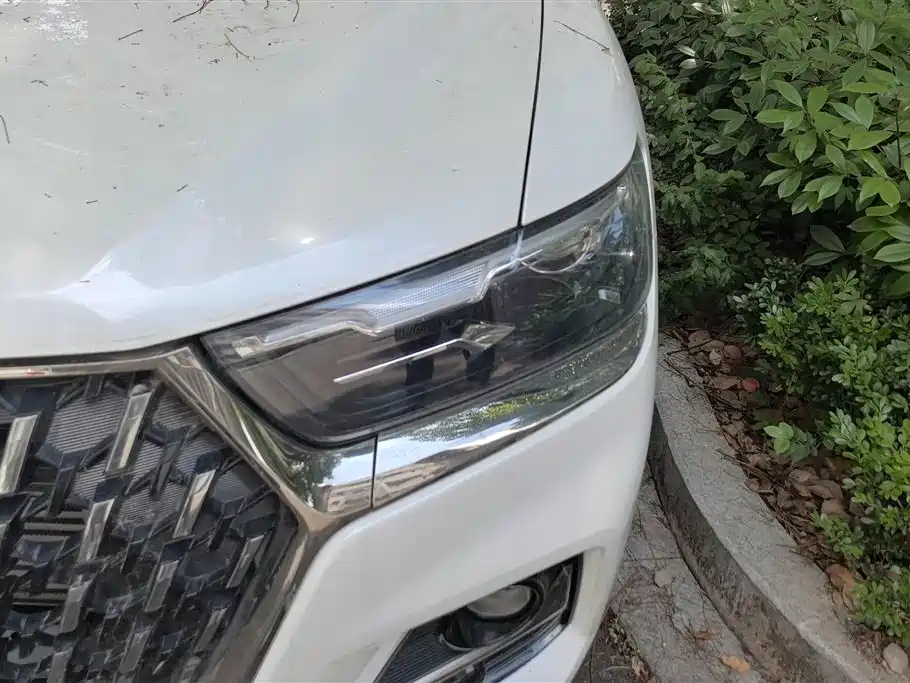Haval H6 China Style 1.5 T Auto Champion