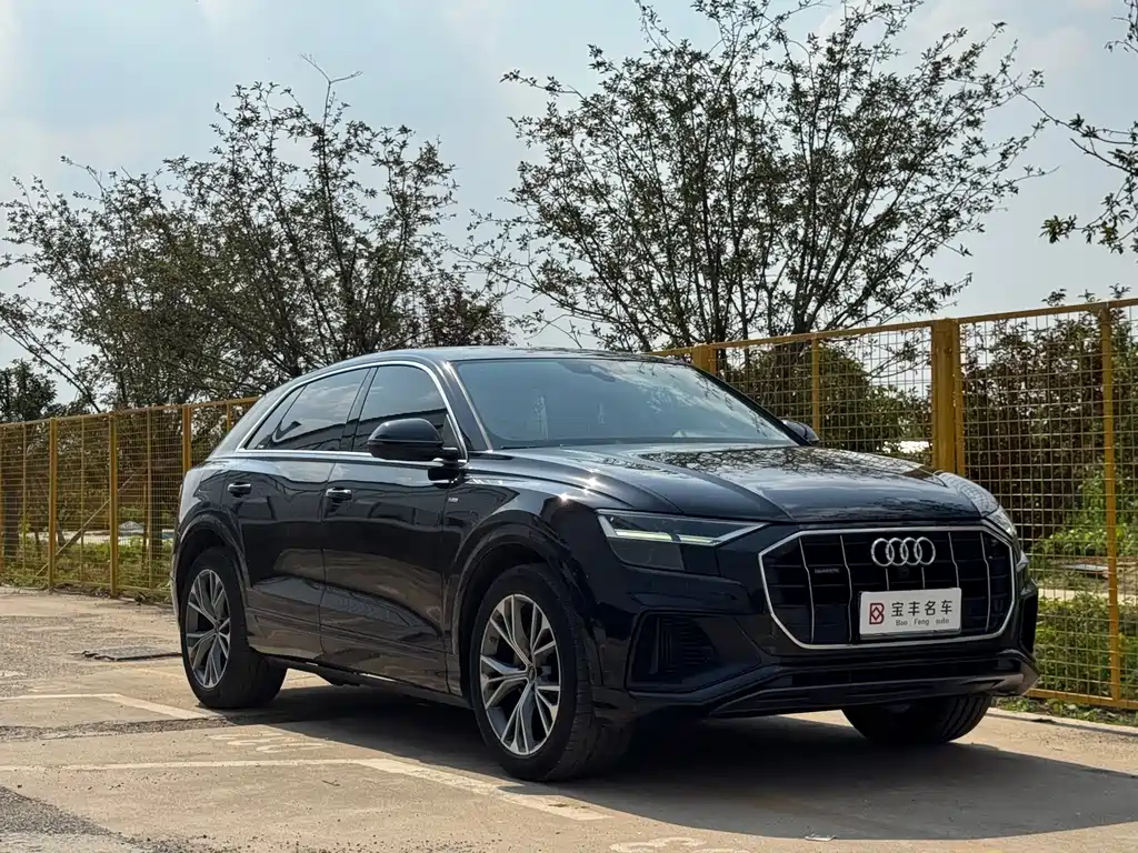 Audi Q8 55 TFSI Luxury Dynamic