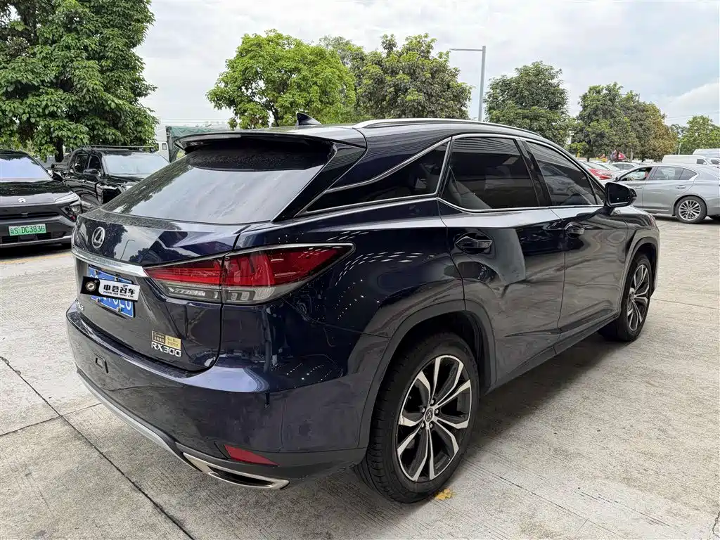 Lexus RX 300 4 WD Elegant CN-VI