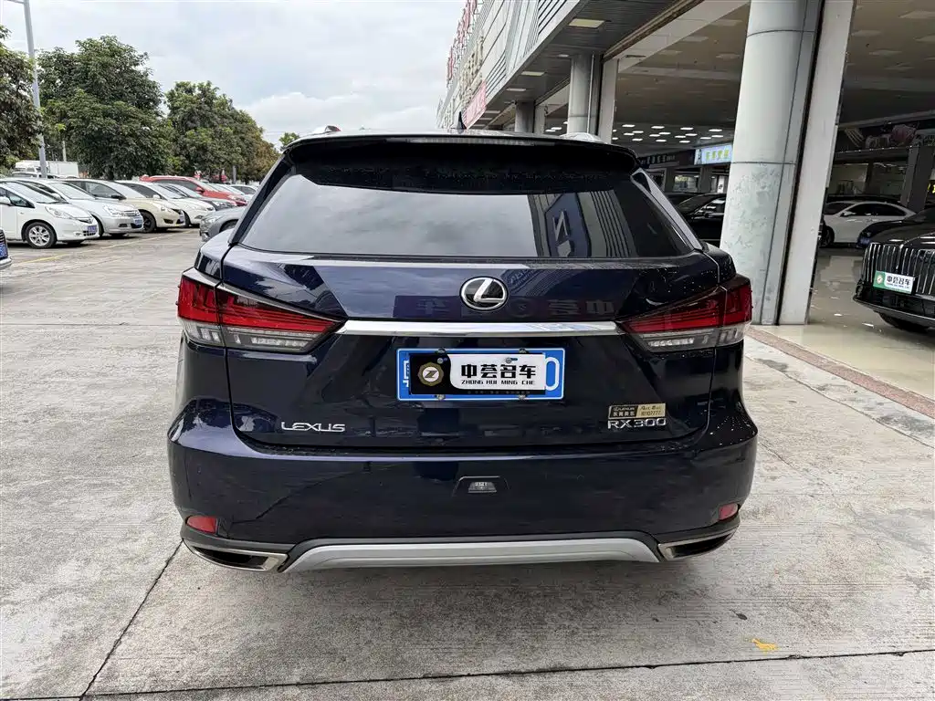 Lexus RX 300 4 WD Elegant CN-VI