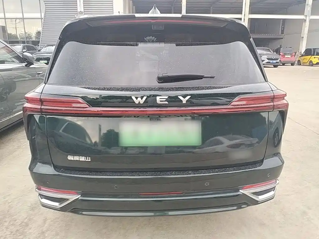 WEY Blue Mountain 4 WD Max