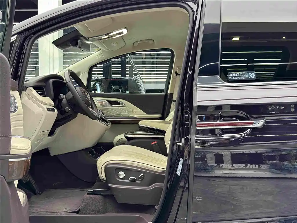Hongqi HQ9 2.0 T Connected Flagship Leading