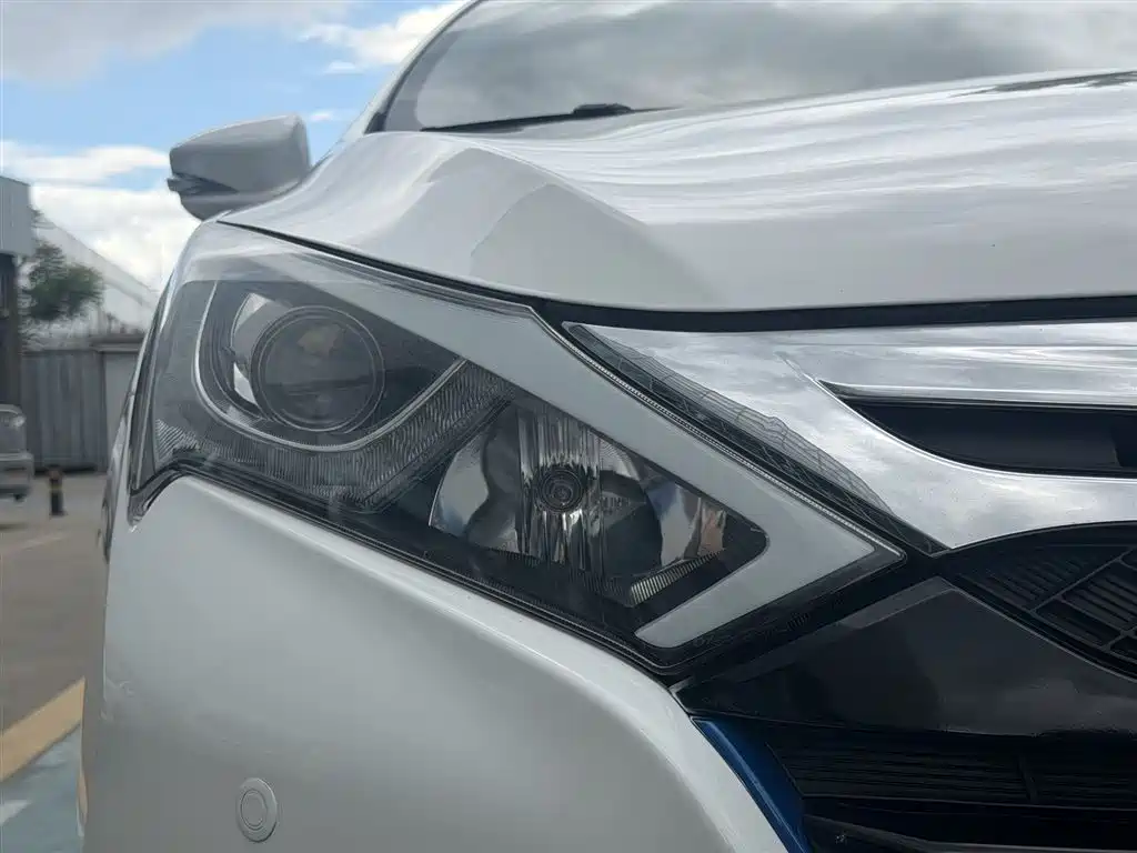 Qin NEV 1.5 T Dual Crown Flagship