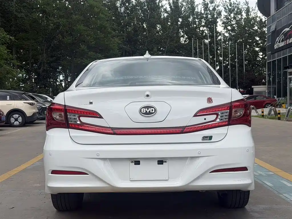 Qin NEV 1.5 T Dual Crown Flagship