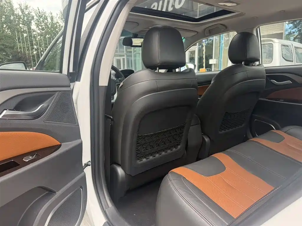 Qin NEV 1.5 T Dual Crown Flagship