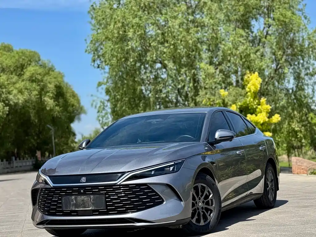 Qin L DM-i Smart Drive 80 KM Leading