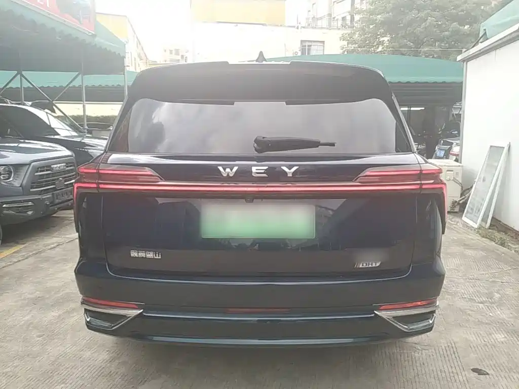 WEY Blue Mountain 4 WD Ultra Long Range
