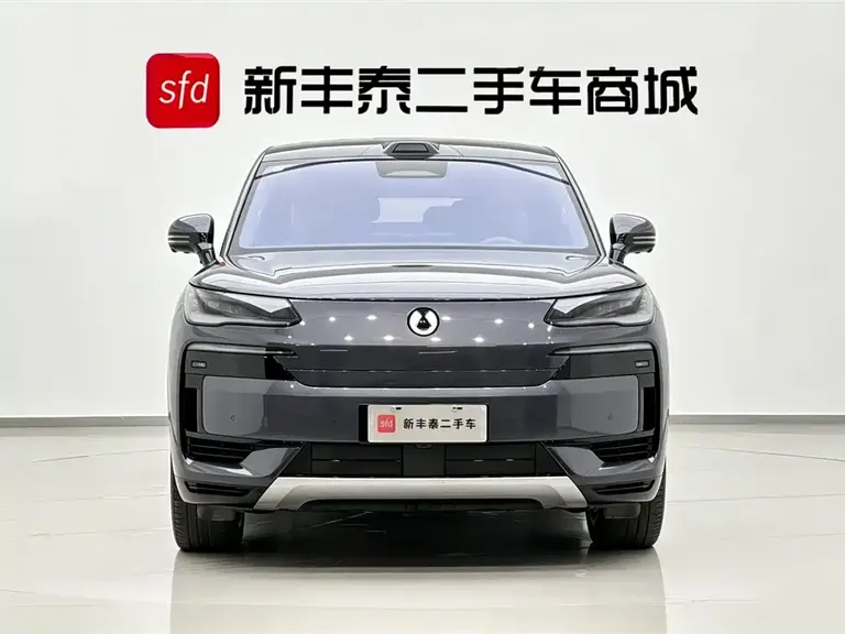 Denza N9 Flagship