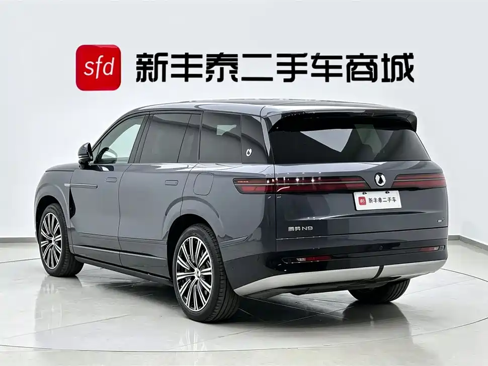 Denza N9 Flagship