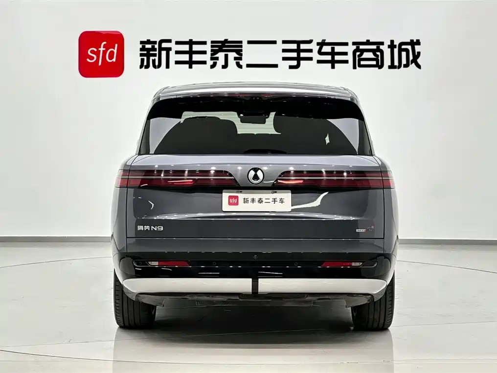 Denza N9 Flagship