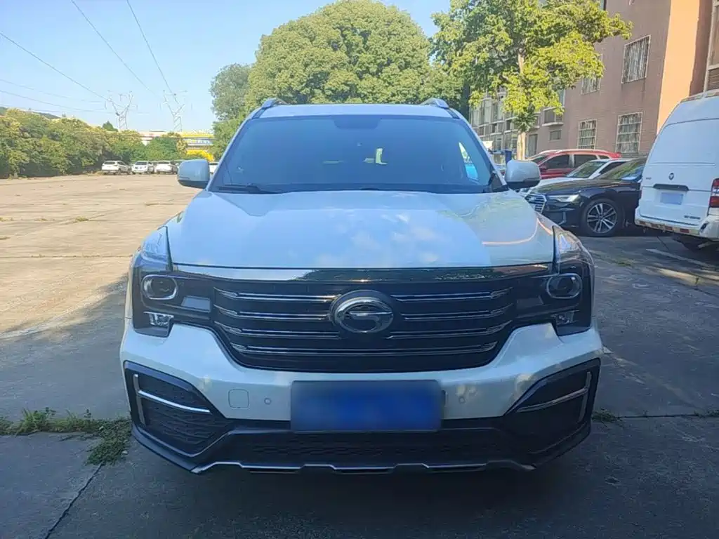 GAC Trumpchi GS8 传祺GS8 2020款 390 T 两驱豪华版（七座）