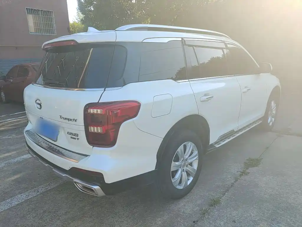 GAC Trumpchi GS8 传祺GS8 2020款 390 T 两驱豪华版（七座）