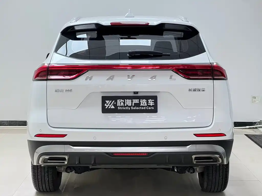 Haval H6 China Style 1.5 T Auto Urban