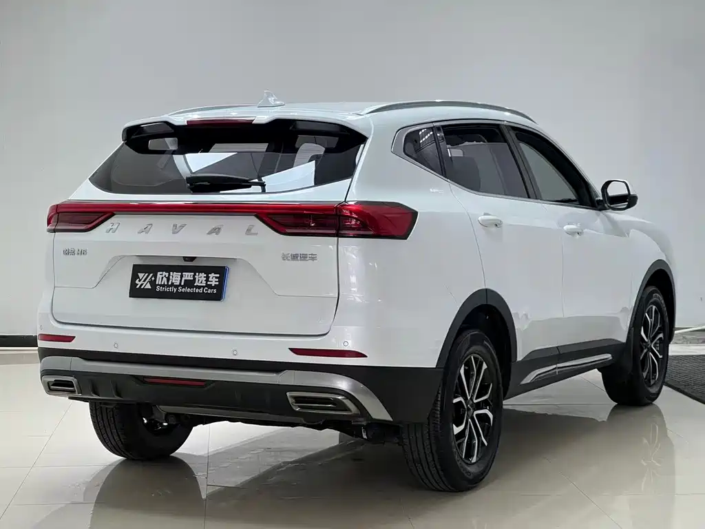 Haval H6 China Style 1.5 T Auto Urban