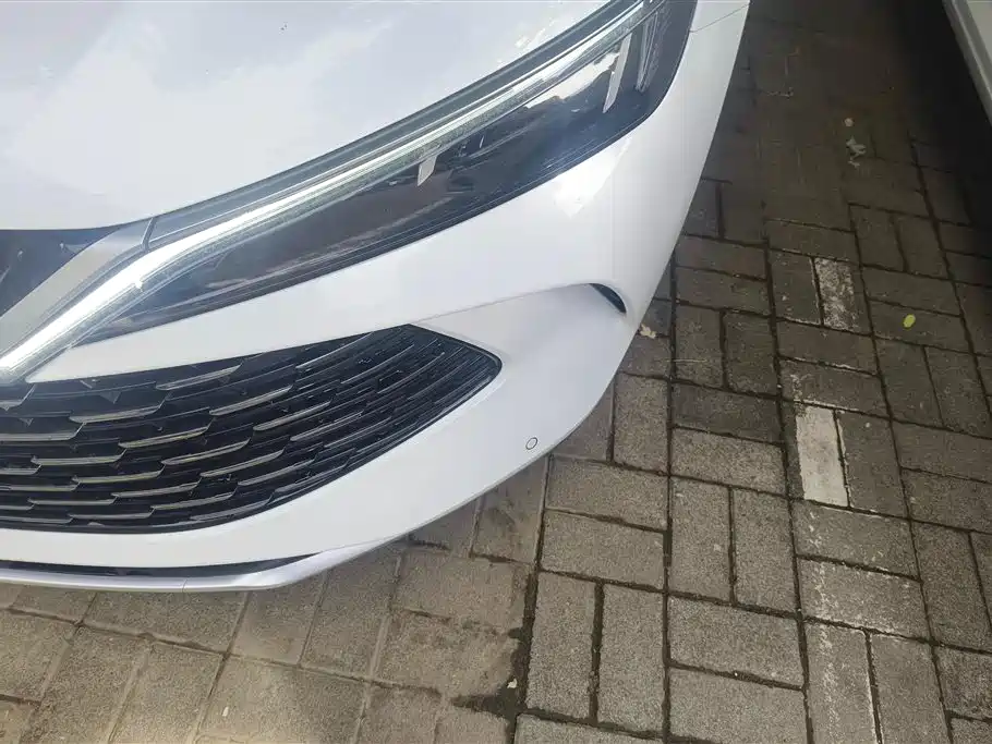 Qin L DM-i 80 KM Transcend