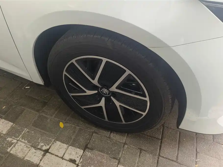 Qin L DM-i 80 KM Transcend