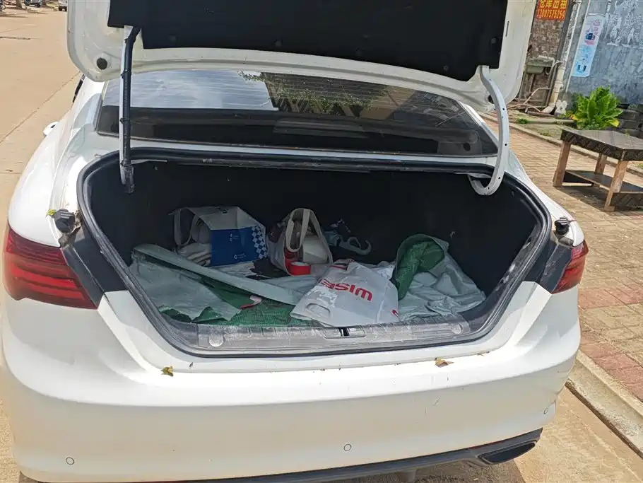 Binrui 1.4 T CVT F- Sport