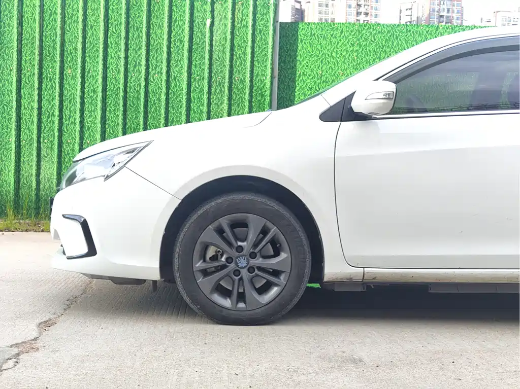 Qin NEV 秦新能源 2018款 1.5 T 智联尊贵型