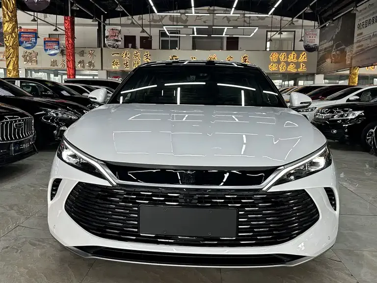 BYD Qin L DM-i 80 KM Transcend