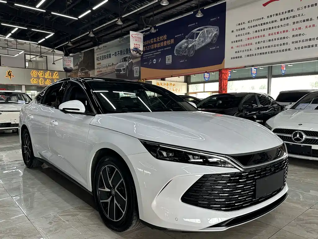 Qin L DM-i 80 KM Transcend