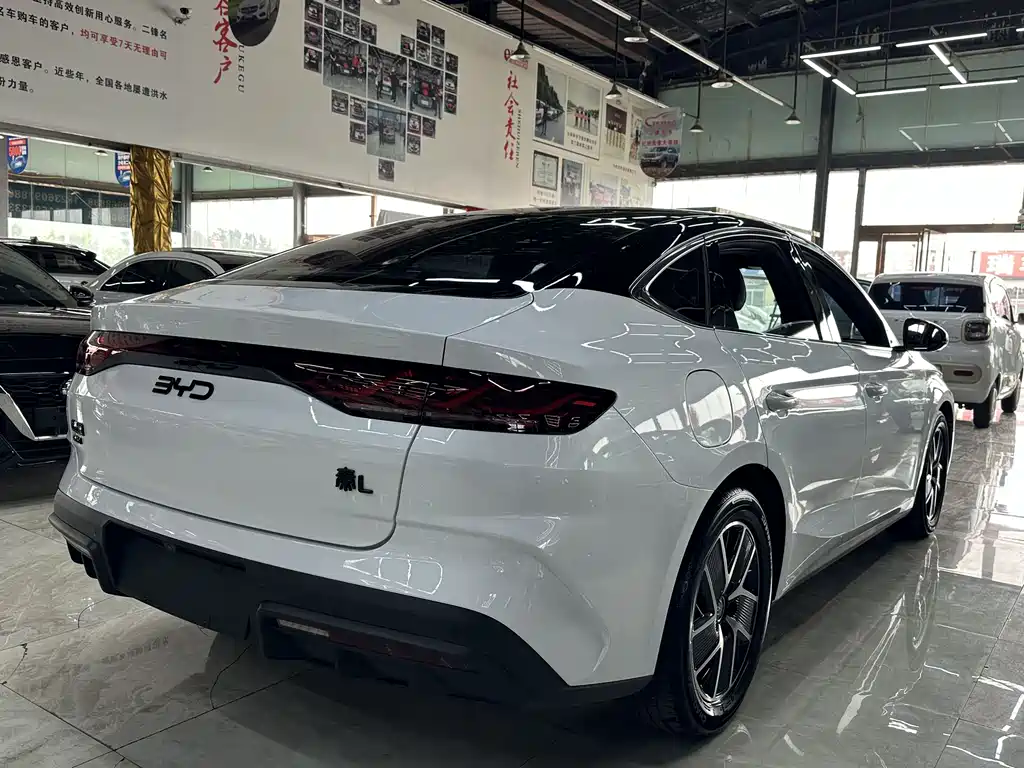 Qin L DM-i 80 KM Transcend