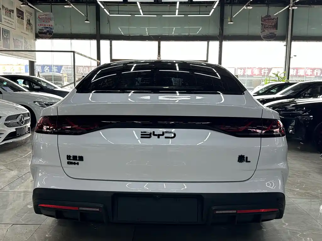 Qin L DM-i 80 KM Transcend