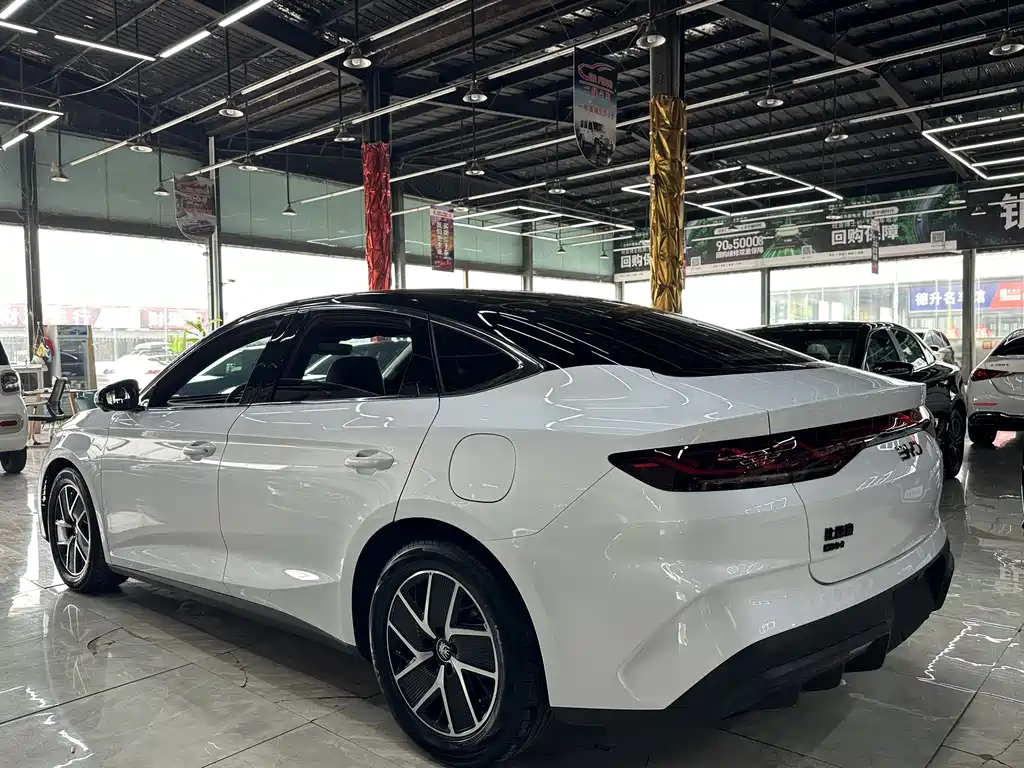 Qin L DM-i 80 KM Transcend