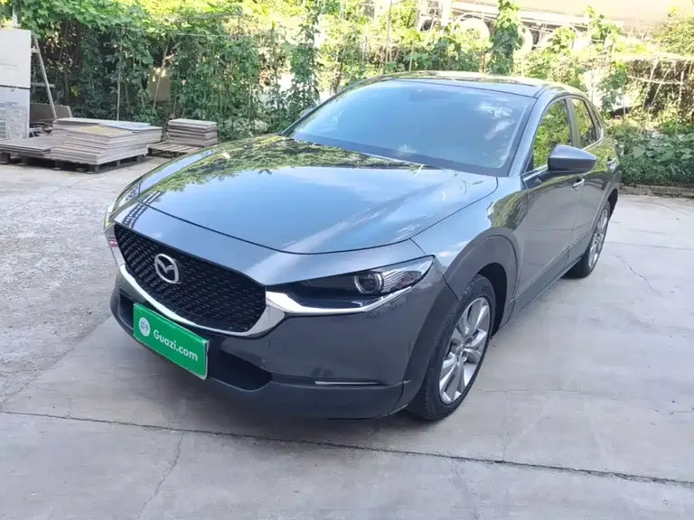Mazda CX-30 2.0 L Auto Elegant Joy