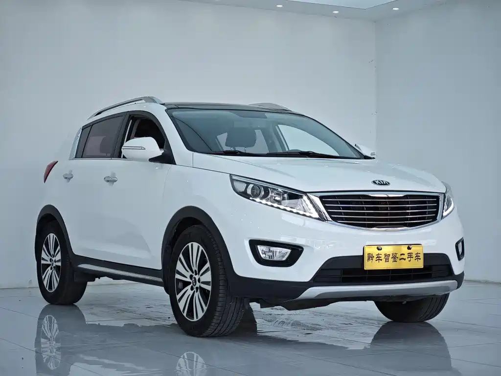 Sportage 2.0 L Auto 2 WD DLX
