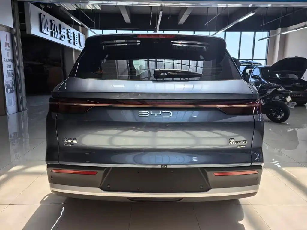 Song Pro NEV 2 nd Gen DM-i 115 KM Transcend