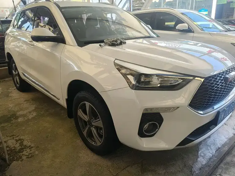 Haval H6 Coupe Red Label 1.5 T Auto 2 WD Luxury