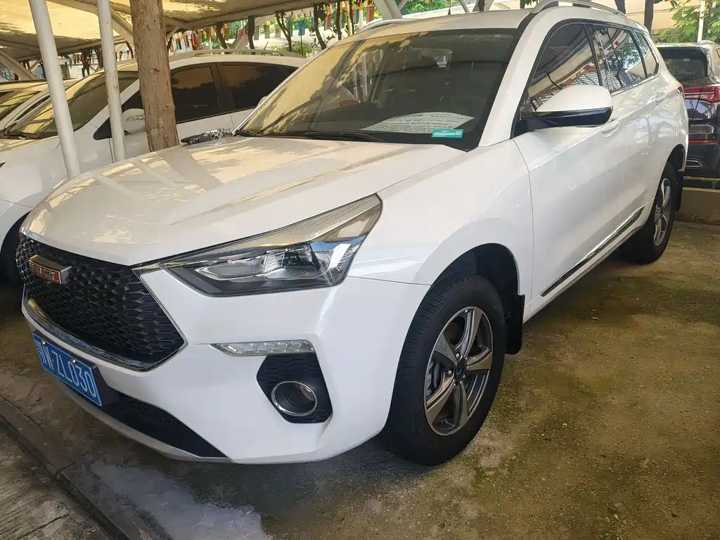 Haval H6 Coupe Red Label 1.5 T Auto 2 WD Luxury