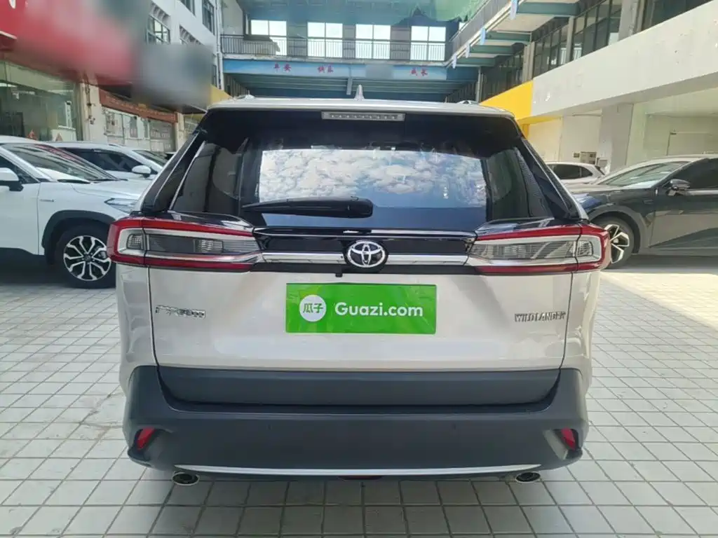 Wildlander 2.0 L CVT 2 WD Tech