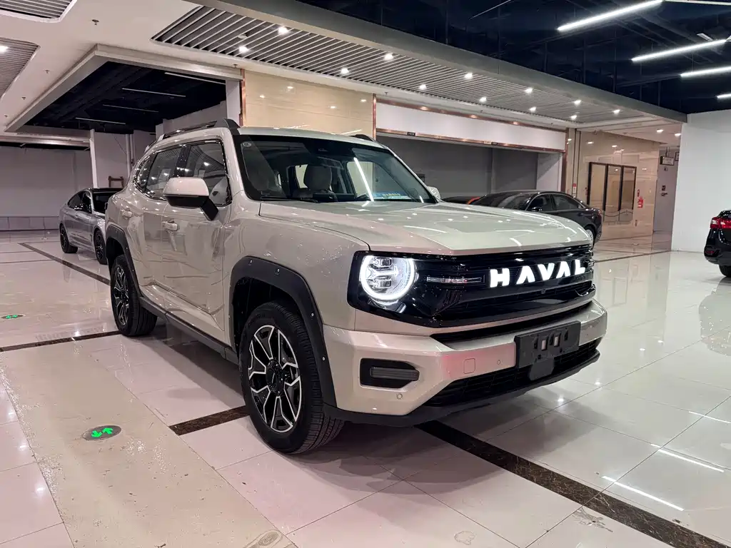 Haval Dargo PLUS NEV Hi4 150 km Trend Electric