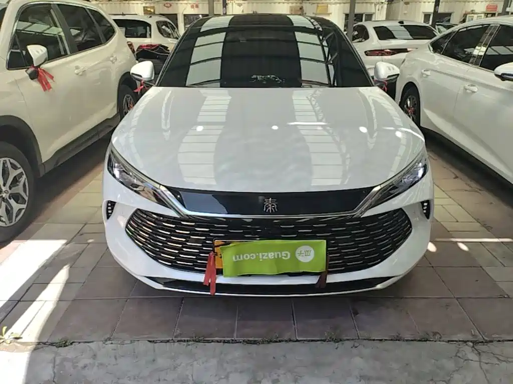 Qin L DM-i Smart Drive 80 KM Leading